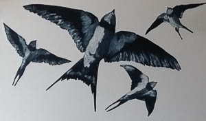 Swallows